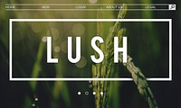 Ecology Fresh Lush Natural Nature