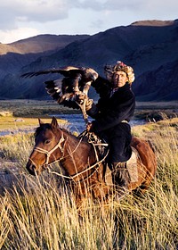 Kazakh men traditionally hunt foxes and wolves using trained golden eagles.