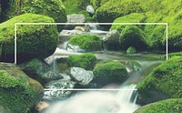 Cascading Waterfall Cascading Atmosphere Greenery Concept