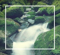 Cascading Waterfall Cascading Atmosphere Greenery Concept