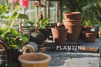Planting Gardening Hobby Leisure Environment