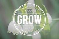 Grow Strategy Success Growth Increase Concept