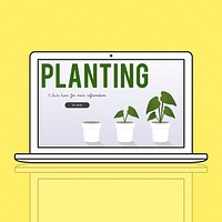 Planting Gardening Flower Farm Global
