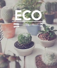 Eco Ecology Environmentally Friendly Hobby Concept