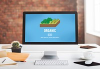 Organic Agriculture Crop Environment Growing Concept