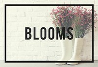 Blooms Freshness Lifestyle Recreation Passion