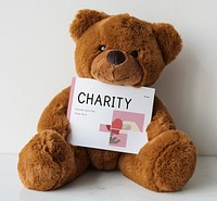 Teddy Bear Show Charity Placard Board