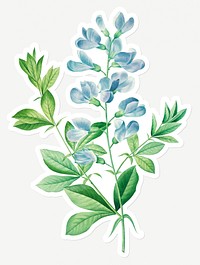 Sweet pea flower sticker design resource 