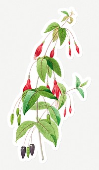 Fuschia flower sticker design resource 