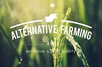 Alternative Farming Sustainable Nature Concept