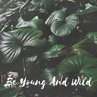 Be Young and Wild Word on Leaves Background