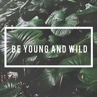 Be Young and Wild Word on Leaves Background