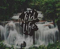 Wild Life Free Natural Word Graphic