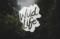 Wild Lifestyle Word Banner Artwork