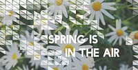 Spring In The Air Concept