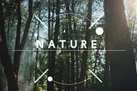 Nature Ecology Environmental Conservation Earth