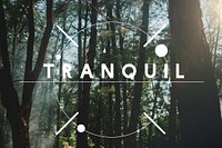 Tranquil forest network connection graphic