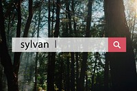 Sylvan Environment Forest Eco Word