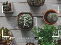 Camera Capture Plants Snap Shot Banner