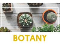 Green Plants Botany Planting Hobby