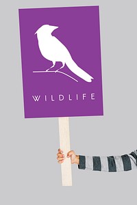 Animal Wildlife Word with Bird Graphic