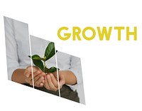 Growth development process planning success
