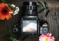 Analog camera screen surrounded by flowers