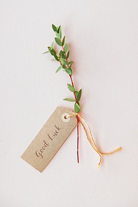 Ruscus leaves with an good luck tag