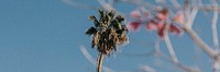 Palm tree and flowers in the summer sky