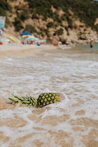 Pineapple soaking in the sea