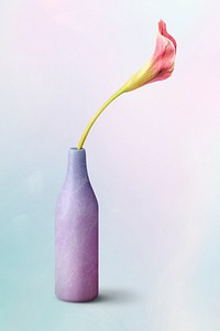 Pink calla lily flower in a pastel vase mockup