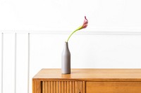 Pink calla lily in a gray vase on a wooden cabinet