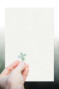 Woman holding a four-leaf clover on a square copy space