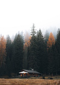Cozy cottage among autumn nature