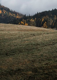 The Dolomites shrouded by the mist during autumn