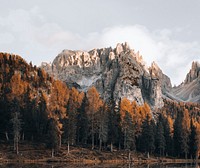 Dolomites mountain and autumn trees
