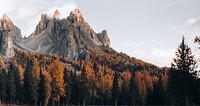 Dolomites mountain and autumn trees