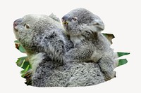 Koala with baby on a tree branch collage element psd