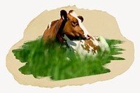 Cow on a meadow  image element