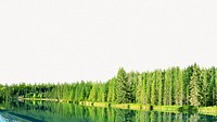Beautiful scenery background, pine tree, lake
