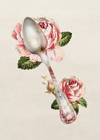 Vintage silver spoon with flower illustration, remixed from public domain collection