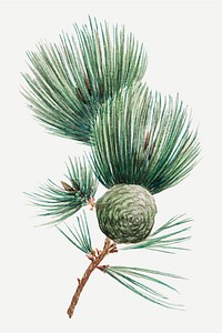 Vintage Japanese pine tree vector art print, remix from artworks by Megata Morikaga