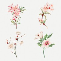 Vintage Japanese pink flower psd art print set, remix from artworks by Megata Morikaga