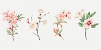 Vintage Japanese pink flower art print set, remix from artworks by Megata Morikaga