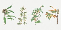 Vintage Japanese tree psd art print set, remix from artworks by Megata Morikaga