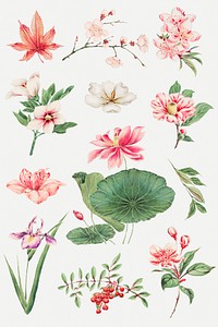 Pink Japanese plant psd art print, remix from artworks by Megata Morikaga