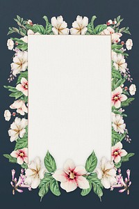 Vintage Japanese floral frame art print, remix from artworks by Megata Morikaga