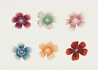 Vintage Sweet William flower set, remix from artworks by Zhang Ruoai