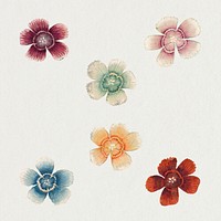 Vintage Sweet William flower set, remix from artworks by Zhang Ruoai