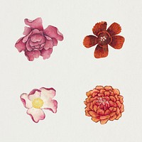 Vintage Chinese pink flower set, remix from artworks by Zhang Ruoai